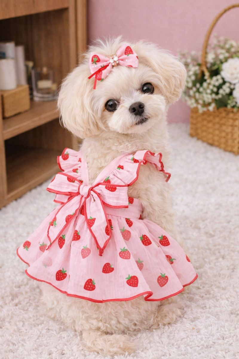Strawberry Mesh Party Dress