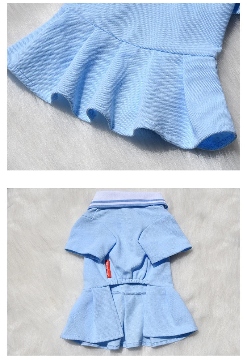 Cute Polo Pet Dress (Spring/Summer) 👗🐶