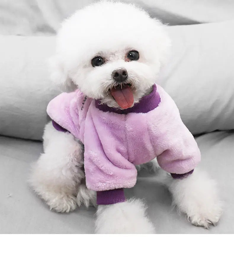 Cute Fruit Print Fleece Pet Jacket (Dog & Cat)
