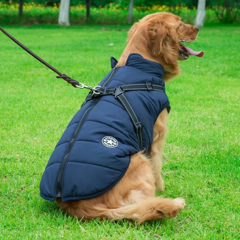 🐕‍🦺WinterWarm Elite Harness Jacket
