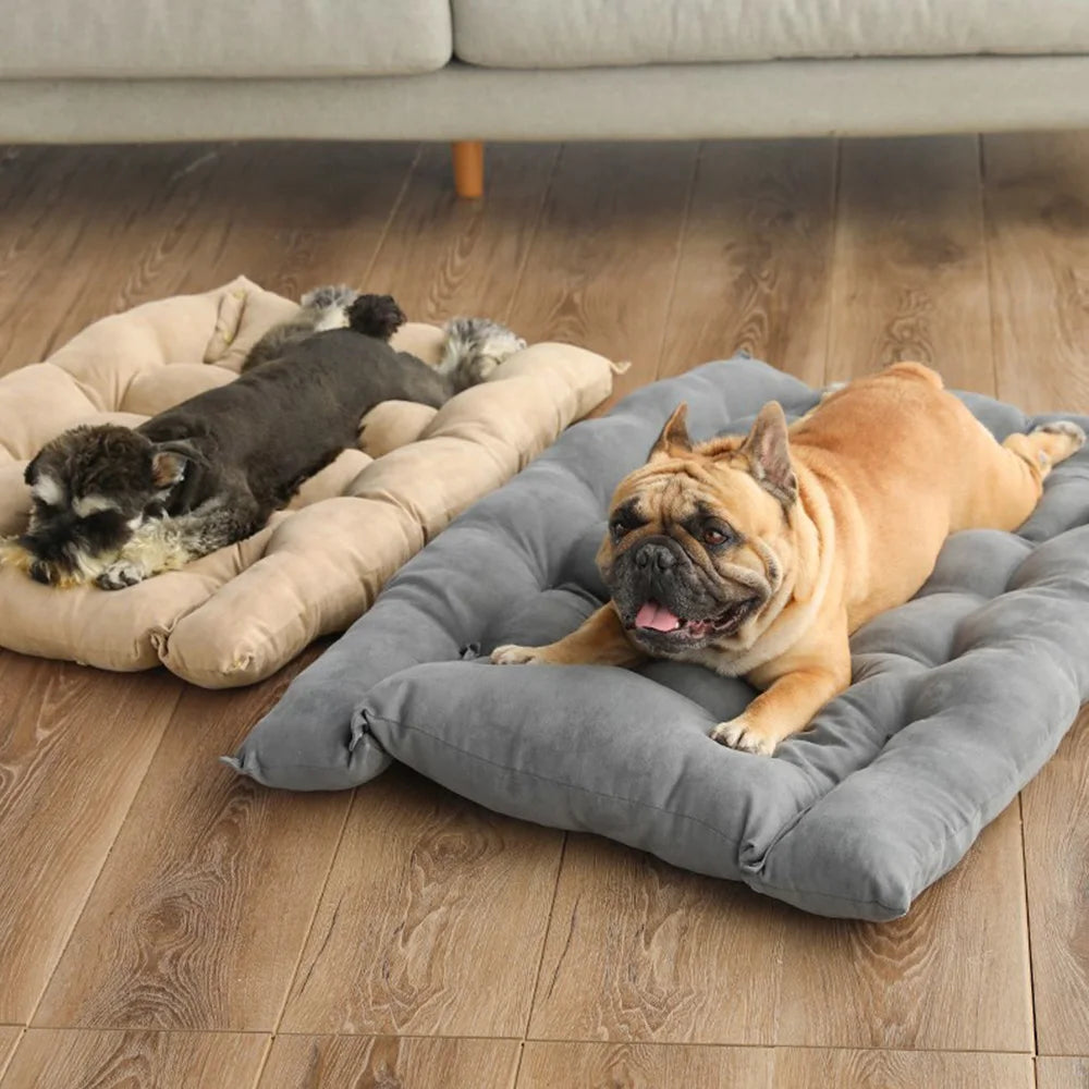 3-in-1 Cozy Cloud Pet Bed