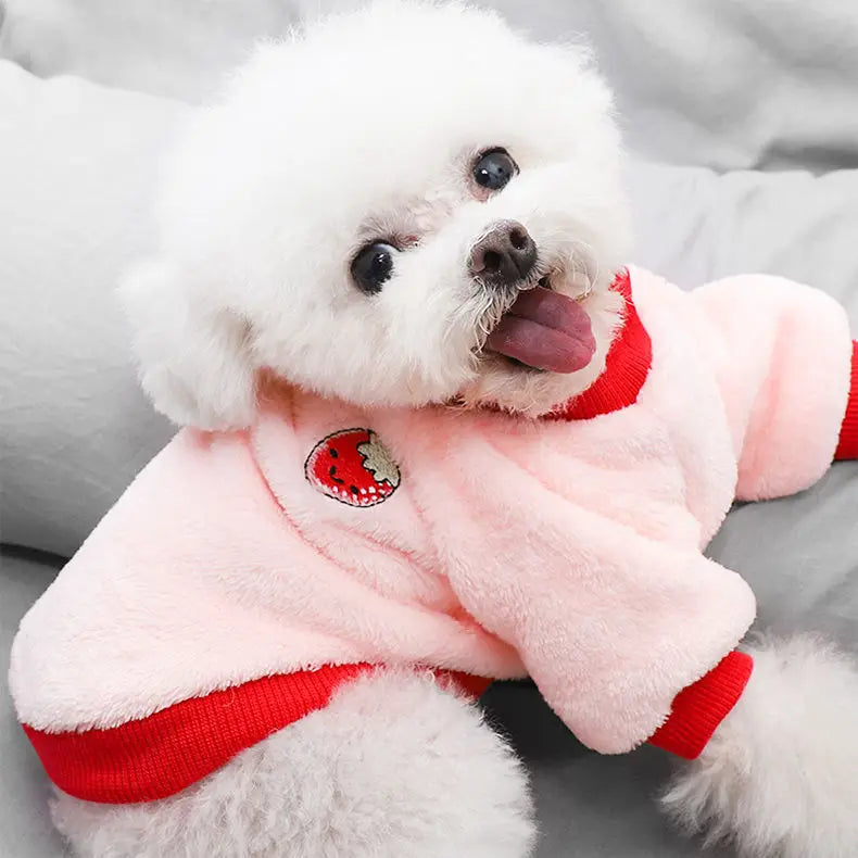 Cute Fruit Print Fleece Pet Jacket (Dog & Cat)