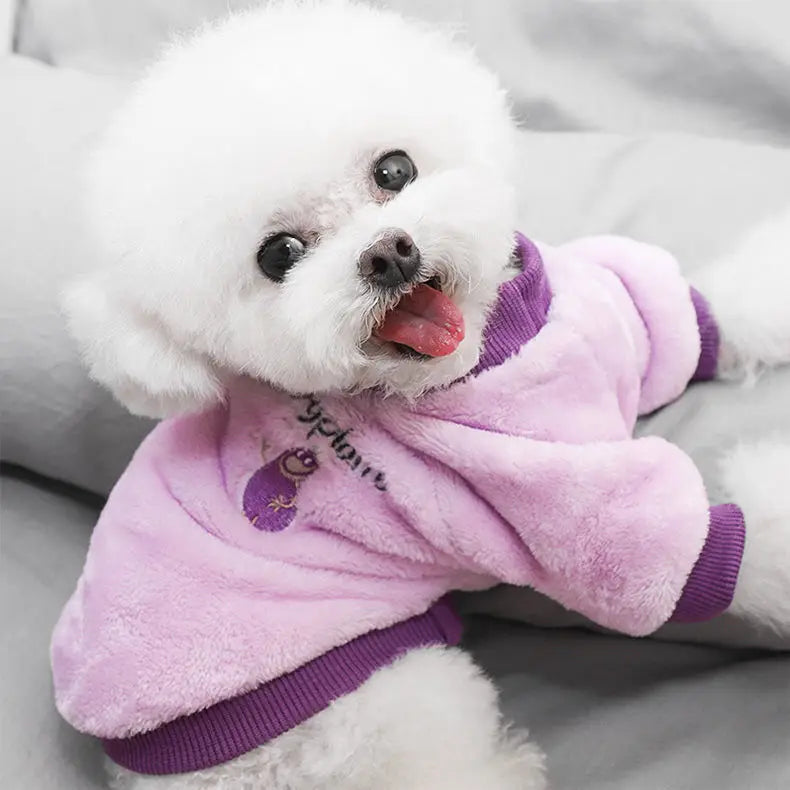 Cute Fruit Print Fleece Pet Jacket (Dog & Cat)