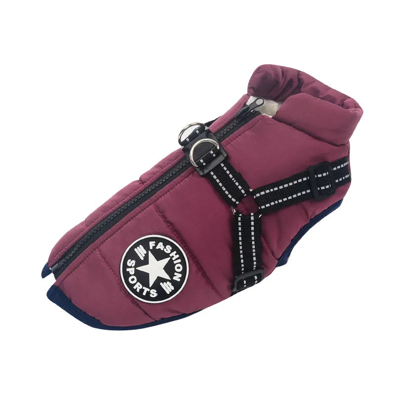🐕‍🦺WinterWarm Elite Harness Jacket