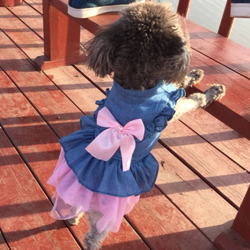 Denim & Tulle Bow Pet Dress (Spring/Summer) 🎀👗