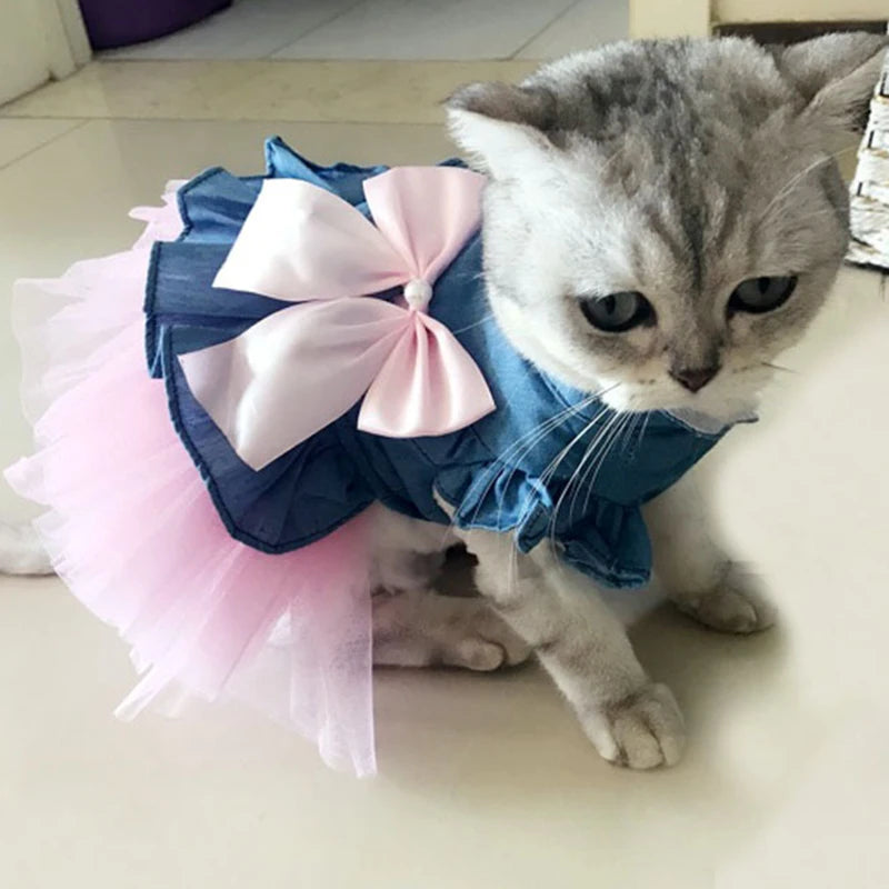Denim & Tulle Bow Pet Dress (Spring/Summer) 🎀👗