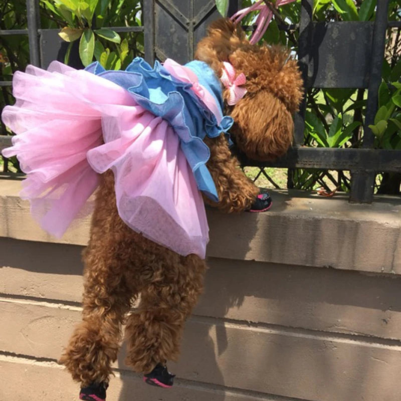 Denim & Tulle Bow Pet Dress (Spring/Summer) 🎀👗