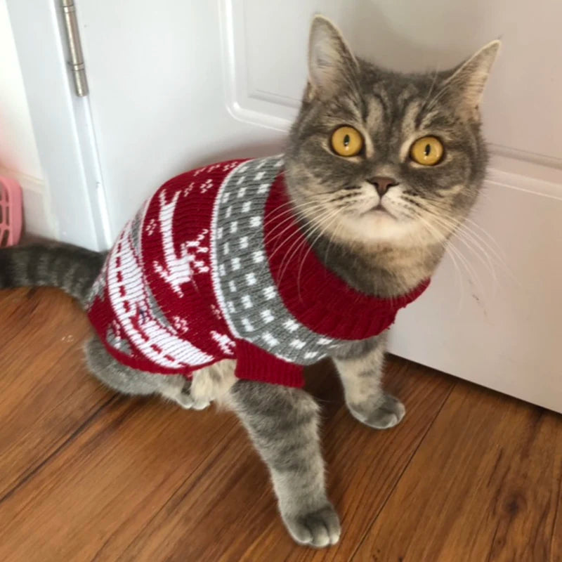 Warm Cartoon Cat Sweater for Cats & Kittens – Winter Knit Pullover