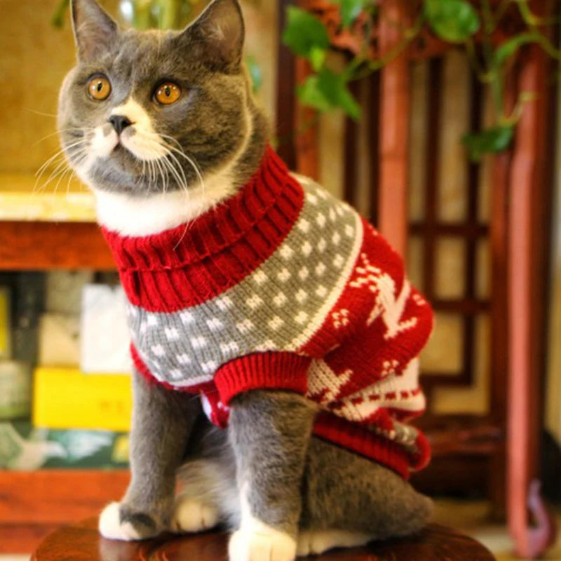 Warm Cartoon Cat Sweater for Cats & Kittens – Winter Knit Pullover