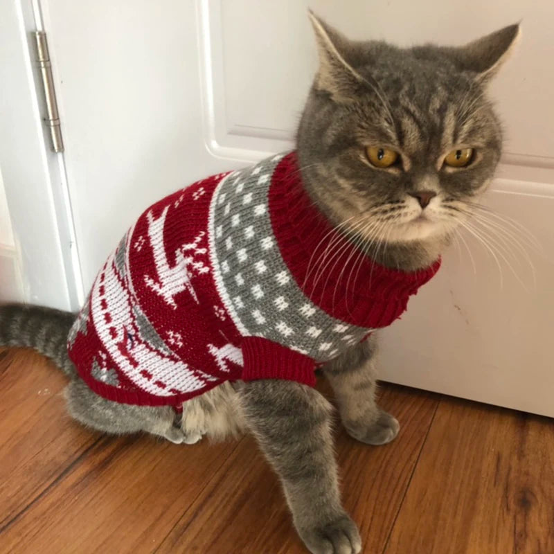 Warm Cartoon Cat Sweater for Cats & Kittens – Winter Knit Pullover