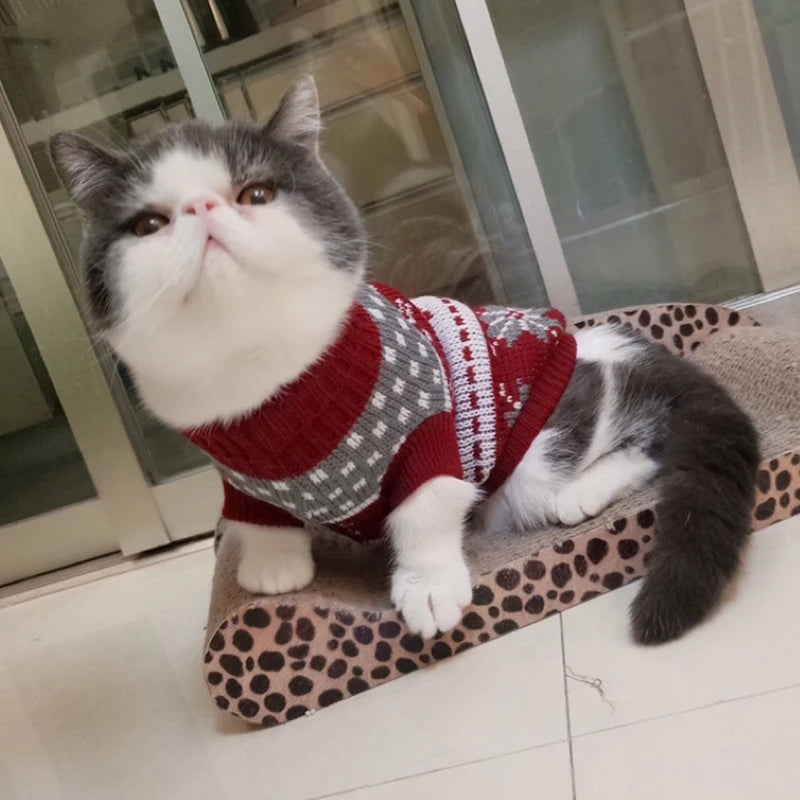 Warm Cartoon Cat Sweater for Cats & Kittens – Winter Knit Pullover