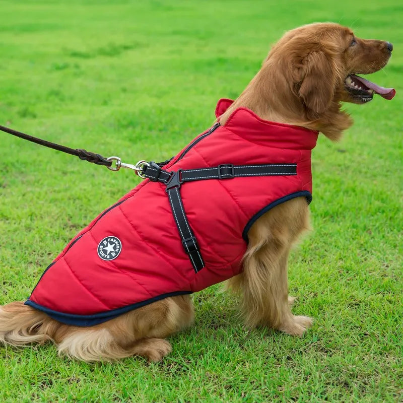 🐕‍🦺WinterWarm Elite Harness Jacket