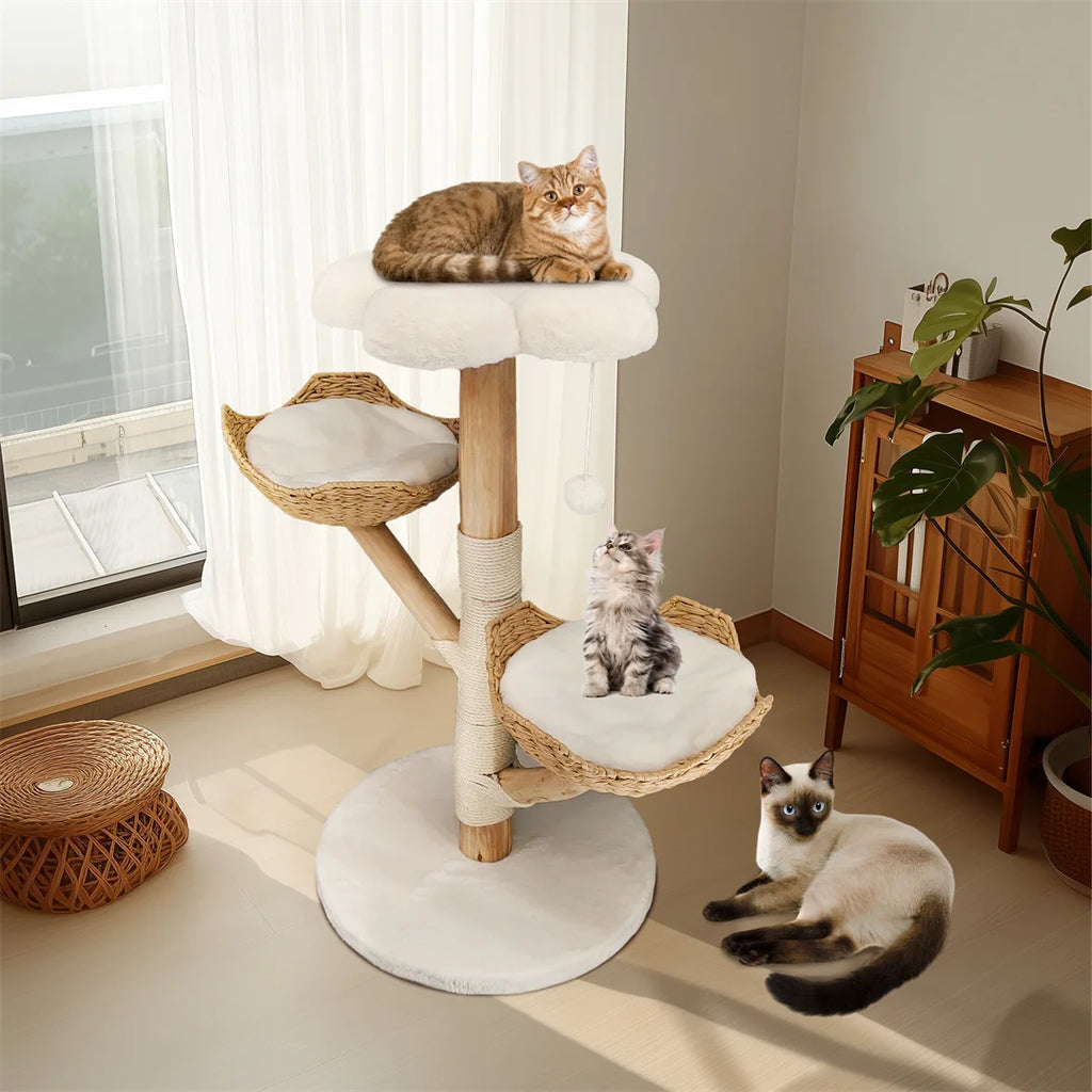 Modern Solid Wood Activity Tower for Indoor Cats