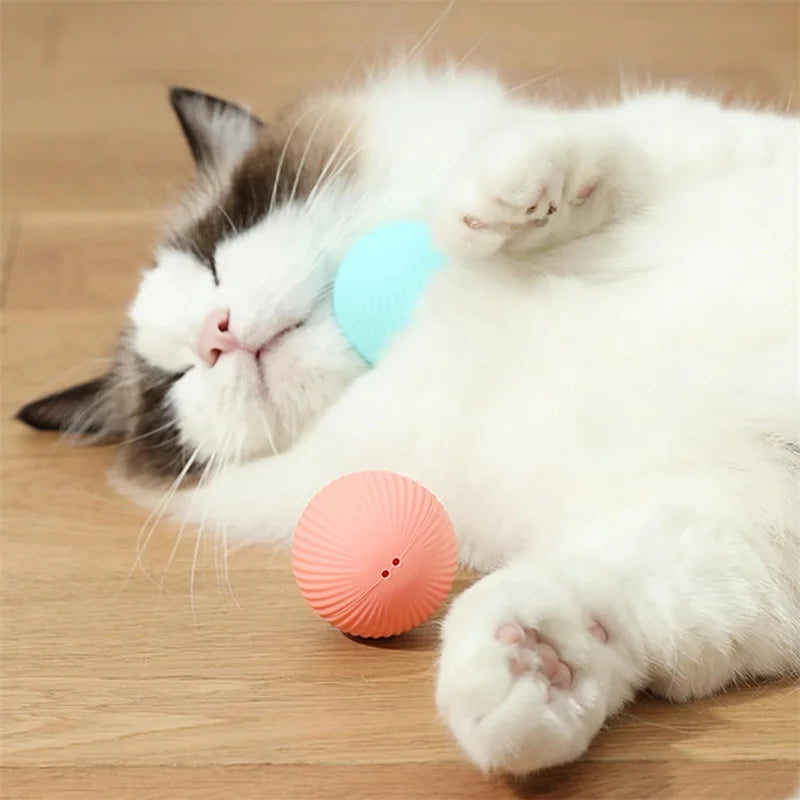 Smart Jump Ball Interactive Pet Toy (USB-C Rechargeable)