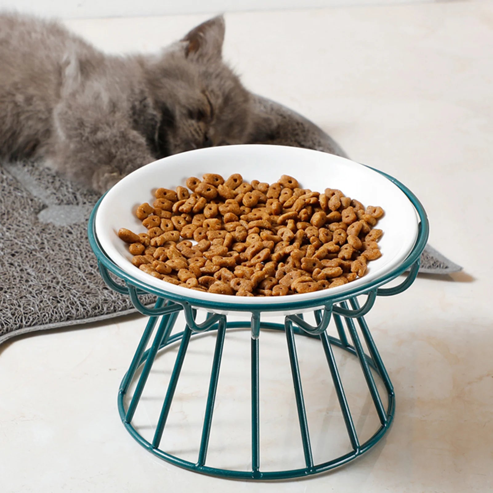Wide Ceramic Whisker-Friendly Cat Bowl with Iron Stand