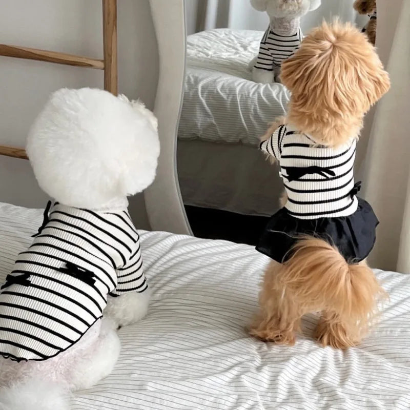 Stripe Bow Princess Pet Dress (Black & White Summer Outfit for Small Dogs) 🎀🖤🤍