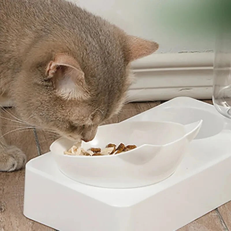 Ergonomic Tilted Cat Food & Water Bowl with Gravity Water Dispenser