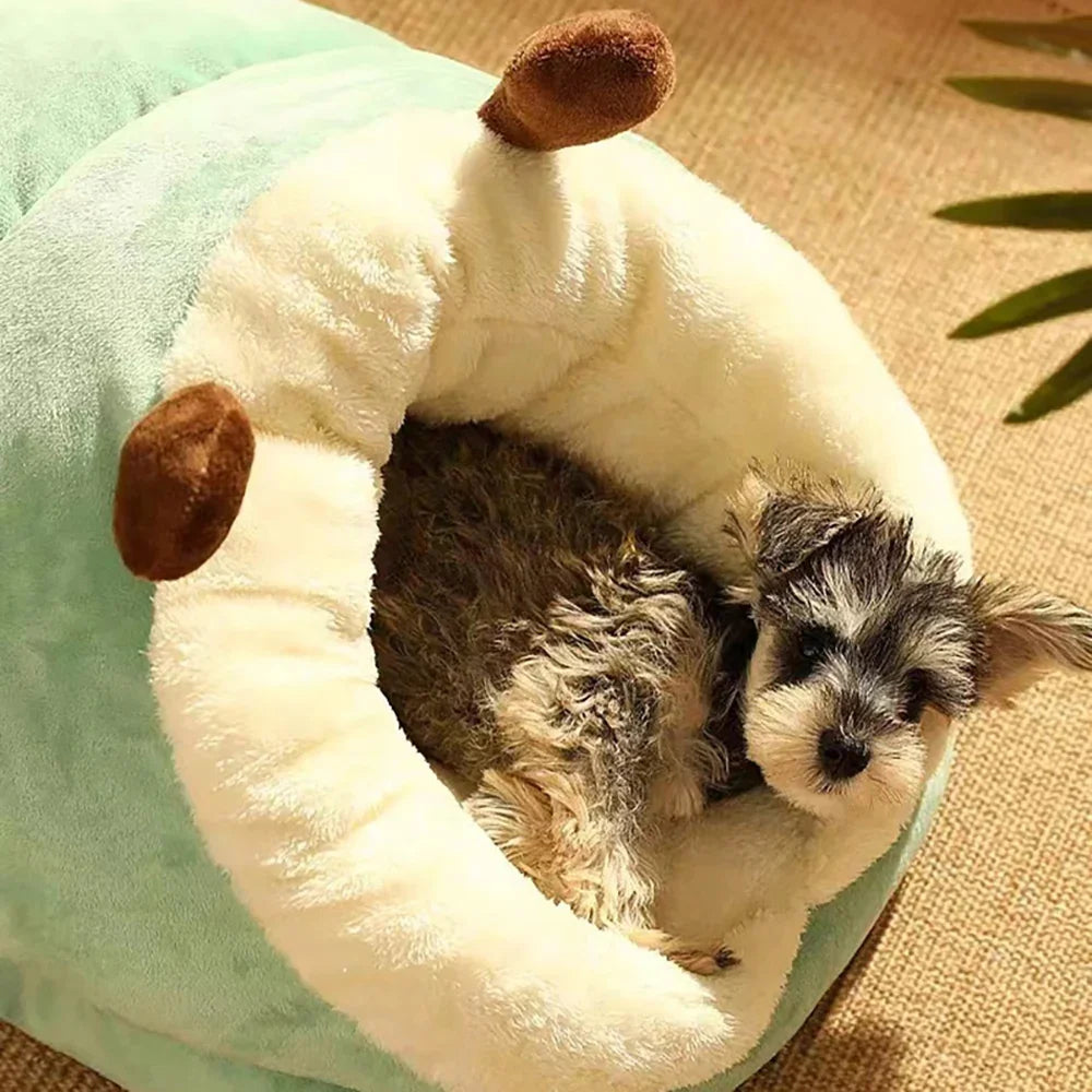 Cozy Slipper Cave Pet Bed (Warm Coral Fleece Hideaway for Cats & Small Dogs) 🥿🧸