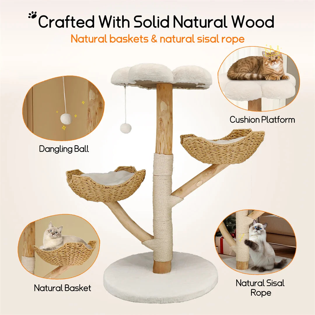 Modern Solid Wood Activity Tower for Indoor Cats