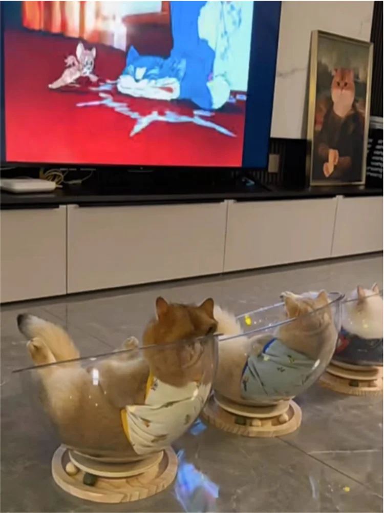 ClearPod Capsule Cat Bed