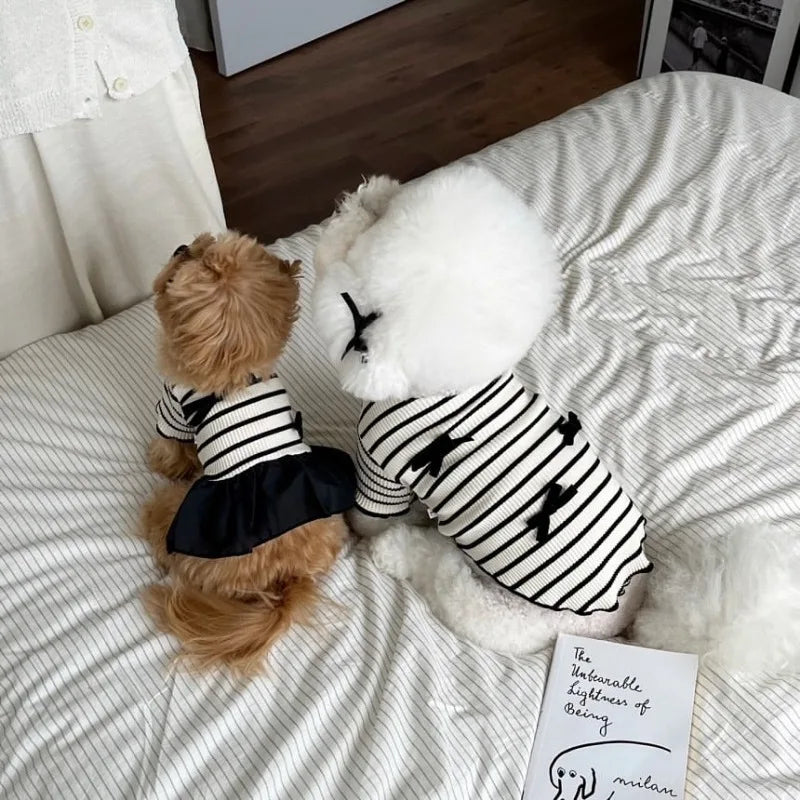 Stripe Bow Princess Pet Dress (Black & White Summer Outfit for Small Dogs) 🎀🖤🤍