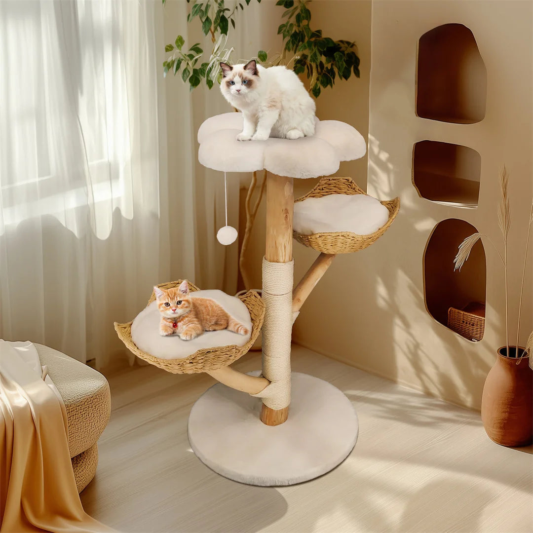 Modern Solid Wood Activity Tower for Indoor Cats