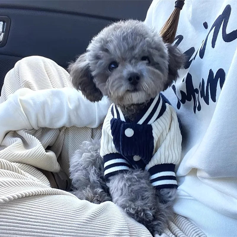 VarsityPaws Pet Baseball Jacket