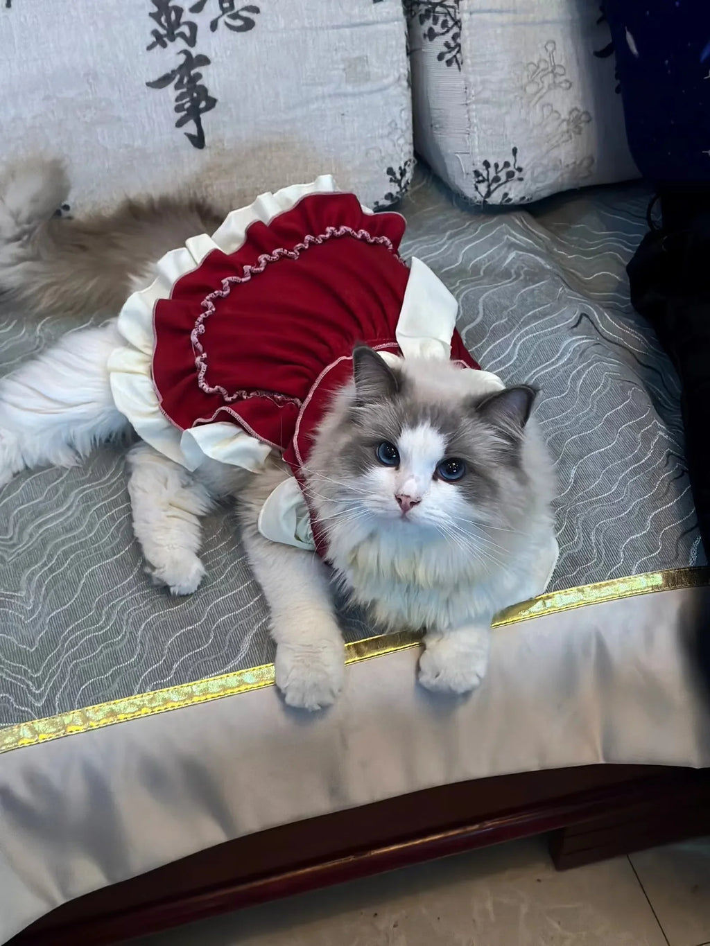 Lolita Bow Princess Dress for Cats & Small Dogs 🎀👑 (100% Cotton)