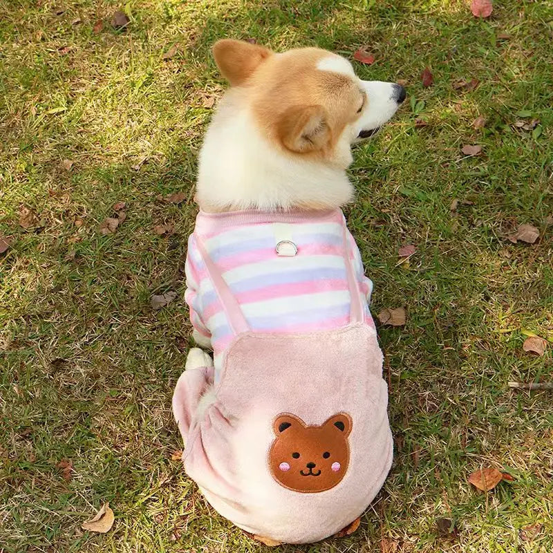 Cozy Bear Stripe Pet Jumpsuit