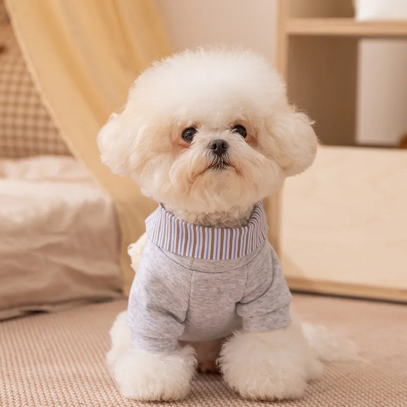 Bear Chic Puppy Hoodie – Cozy Autumn & Winter Pullover for Dogs & Cats