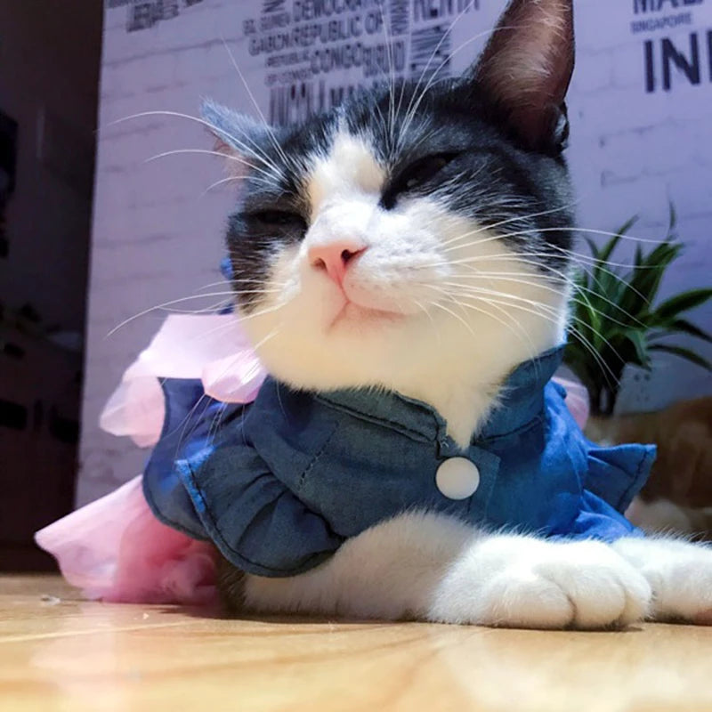 Denim & Tulle Bow Pet Dress (Spring/Summer) 🎀👗