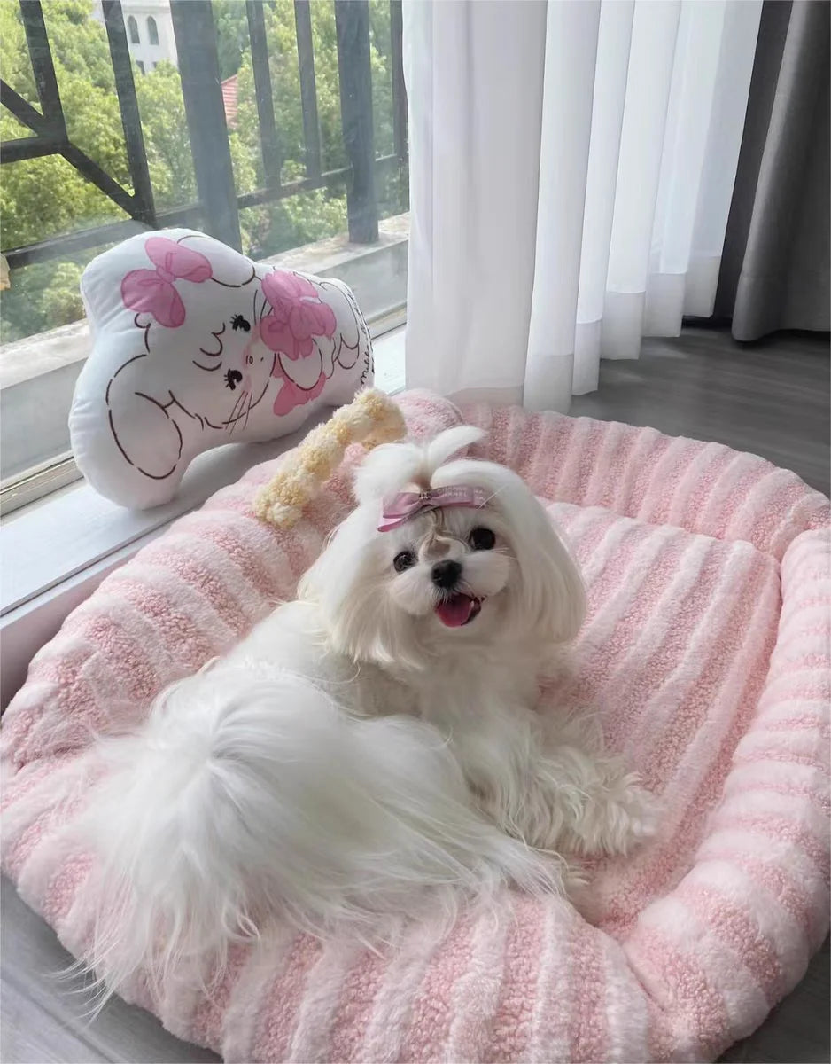 Mini Sofa Pet Bed (Cozy Linen Couch for Small Dogs & Cats) 🛋️🐾