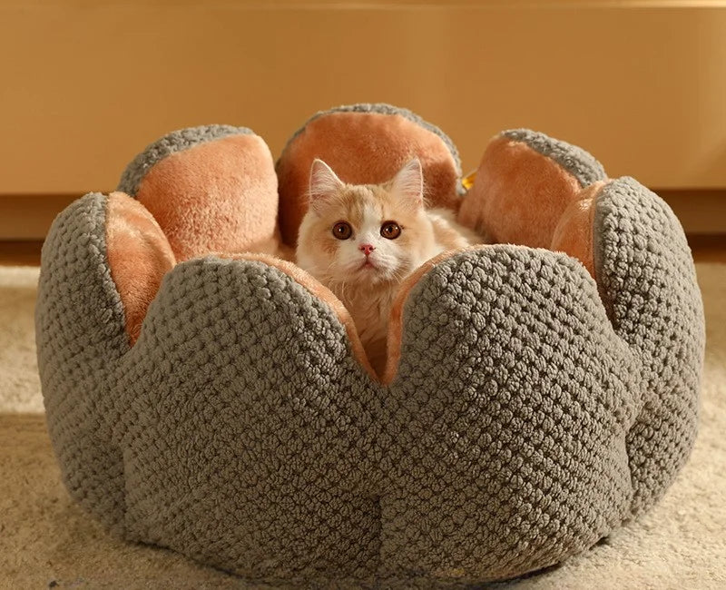 Cactus Flower Cat Bed (Plush Pet Nest for Cozy Naps) 🌵🌸🐱