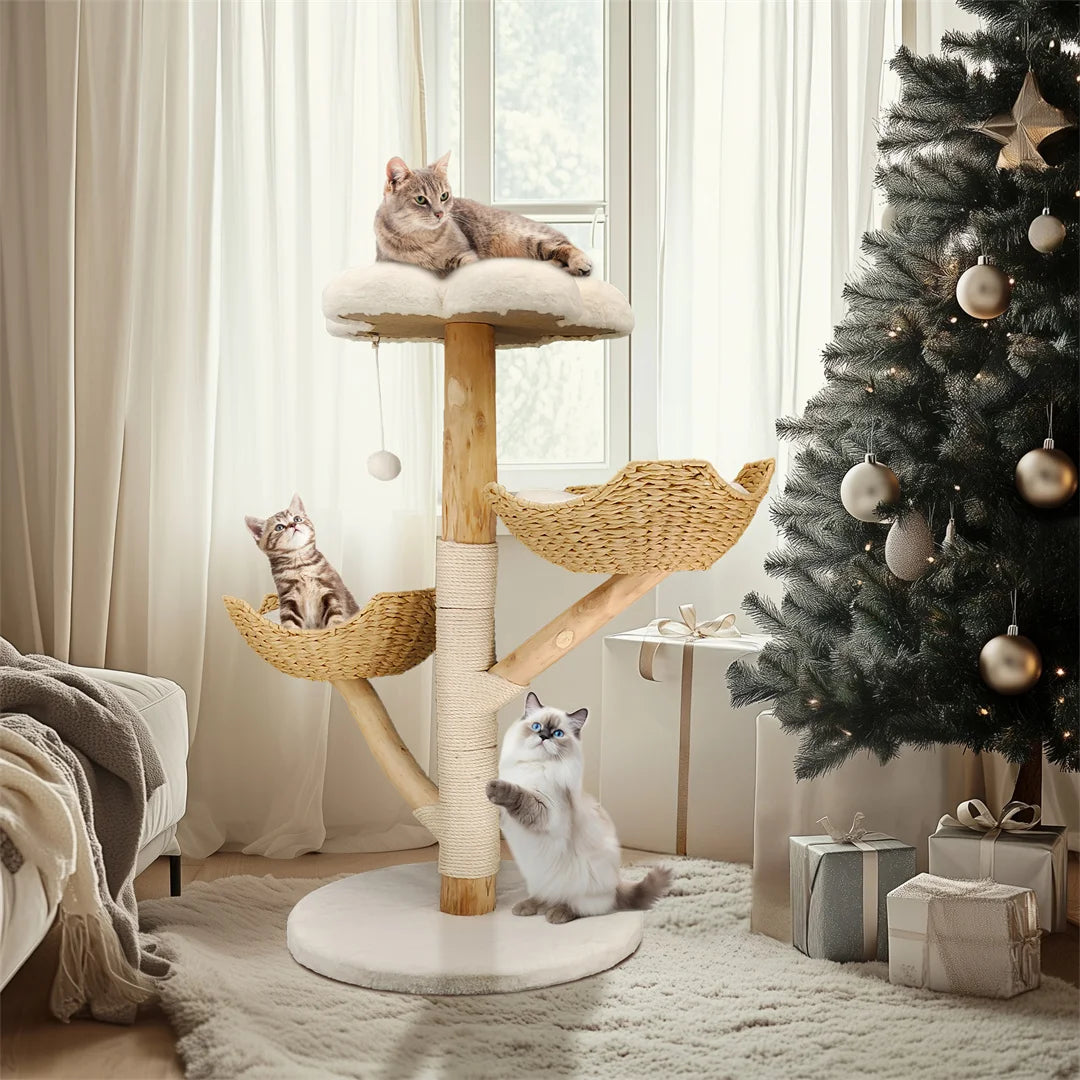 Modern Solid Wood Activity Tower for Indoor Cats