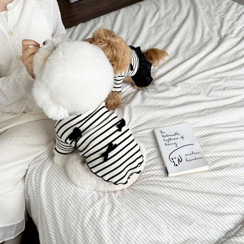 Stripe Bow Princess Pet Dress (Black & White Summer Outfit for Small Dogs) 🎀🖤🤍