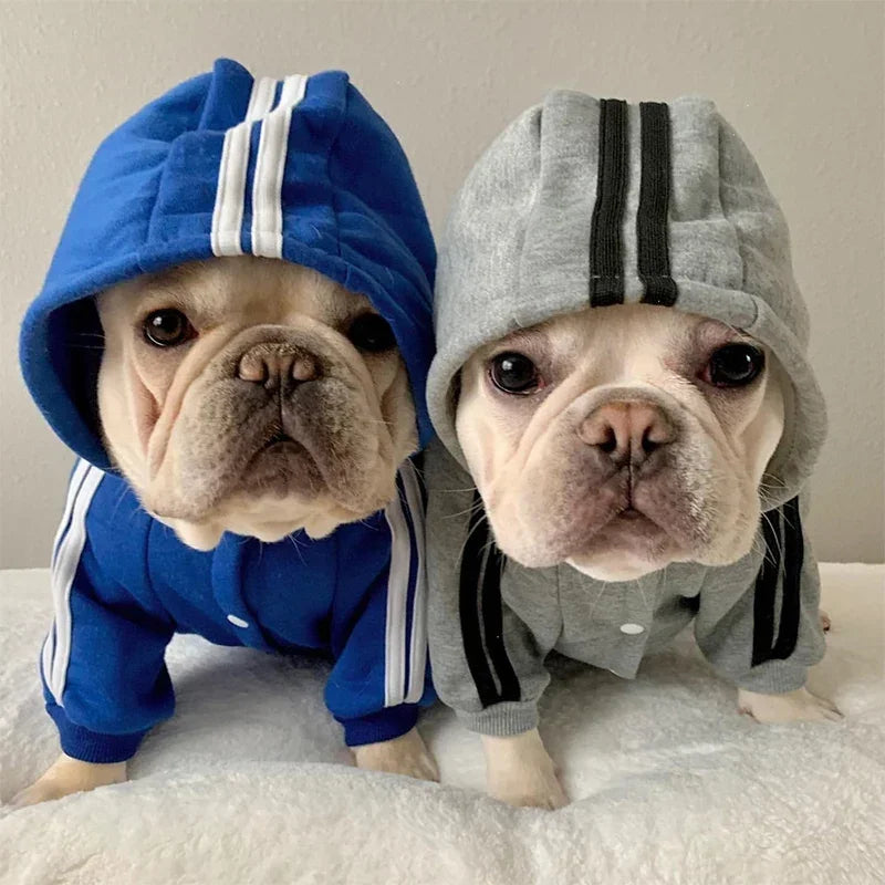 Sport Hoodie Dog Jumpsuit (4-Leg) 🐶✨