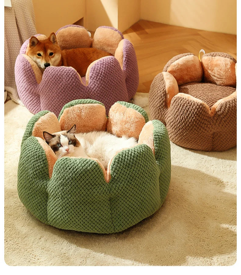 Cactus Flower Cat Bed (Plush Pet Nest for Cozy Naps) 🌵🌸🐱