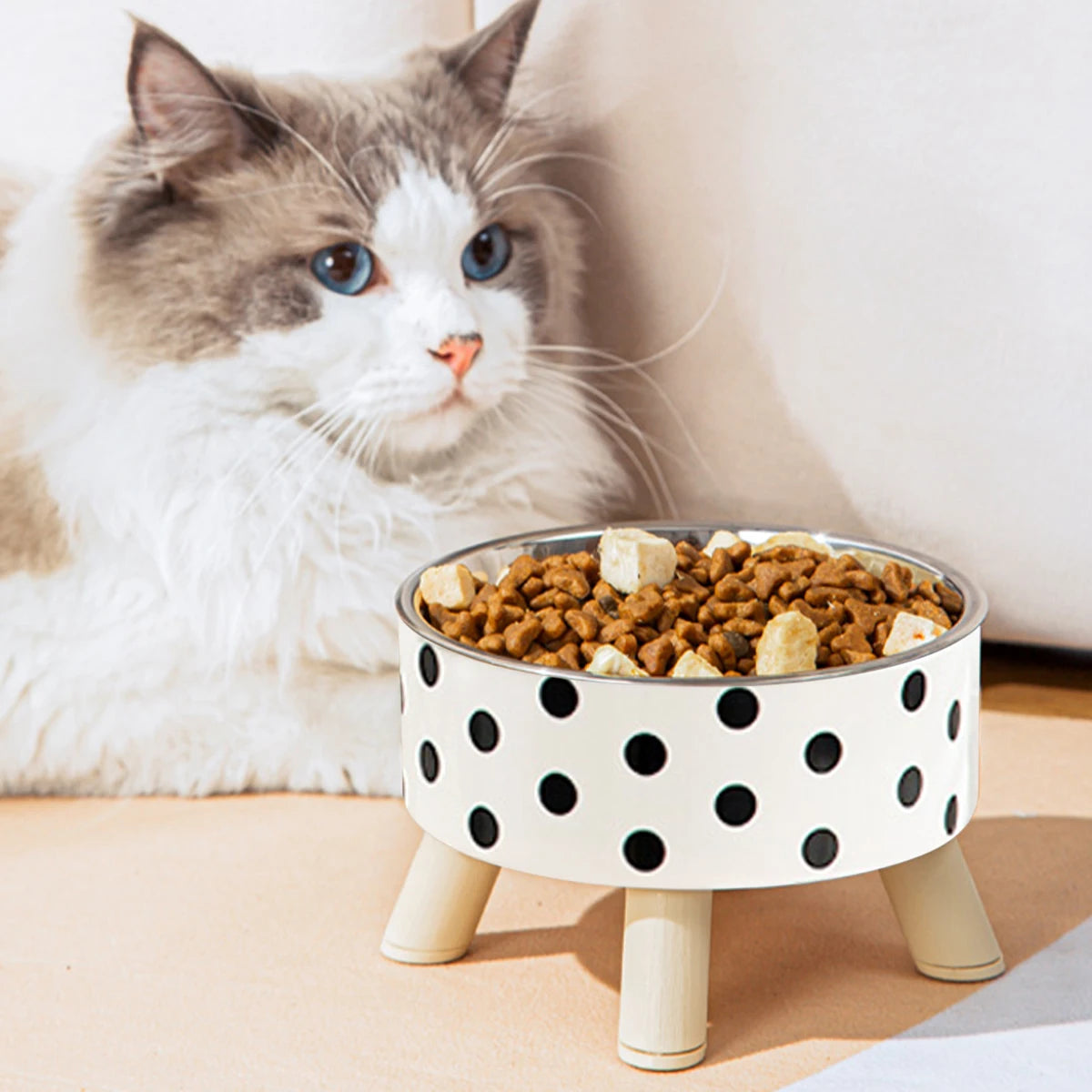 Elevated Stainless Steel Pet Bowl with Decorative Stand
