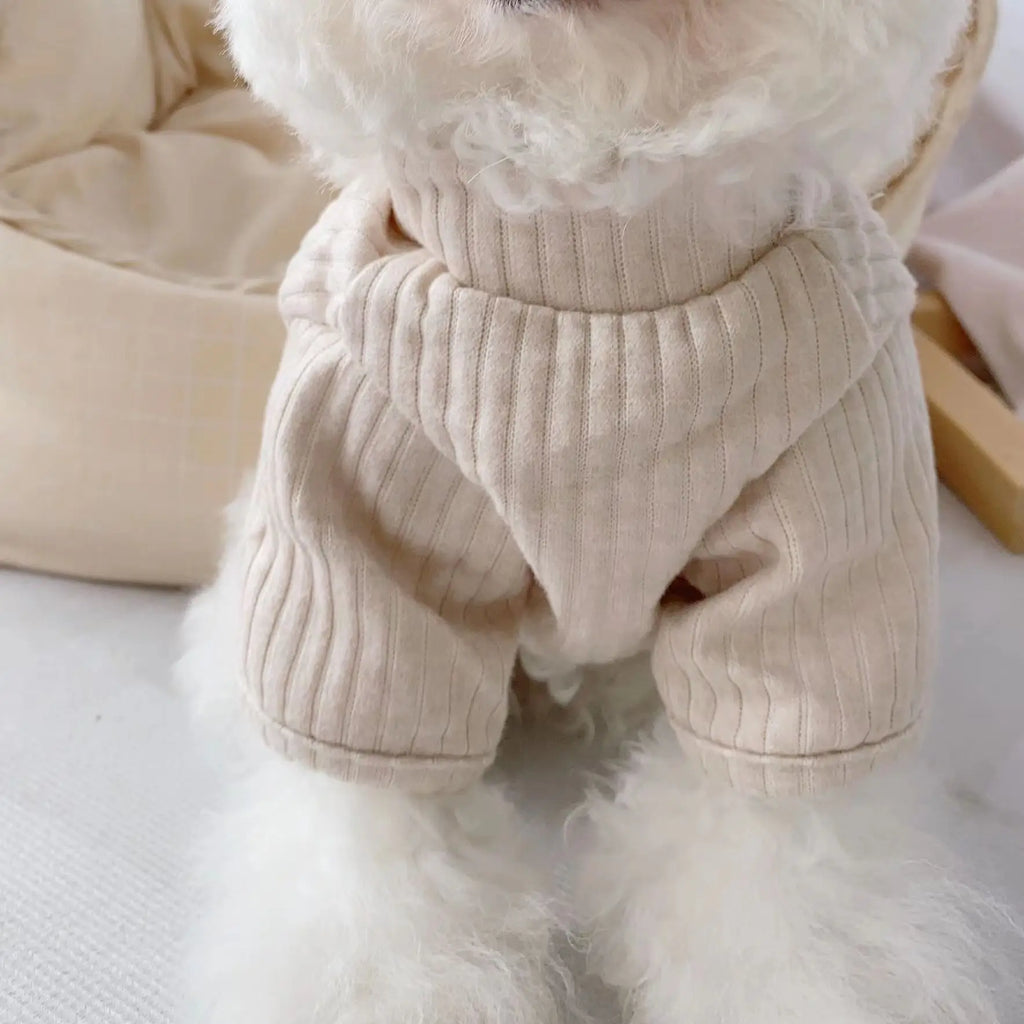 Cute Bear Winter Dog Jacket (XS–XL) 🧸❄️🐶
