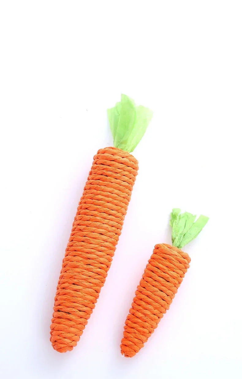🥕Squeaky Carrot Cat Toy