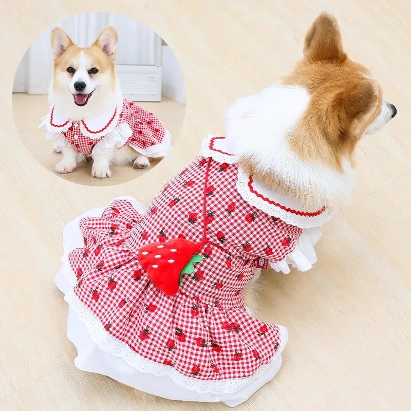 Strawberry Plaid Pet Dress (Dog & Cat) 🍓🎀