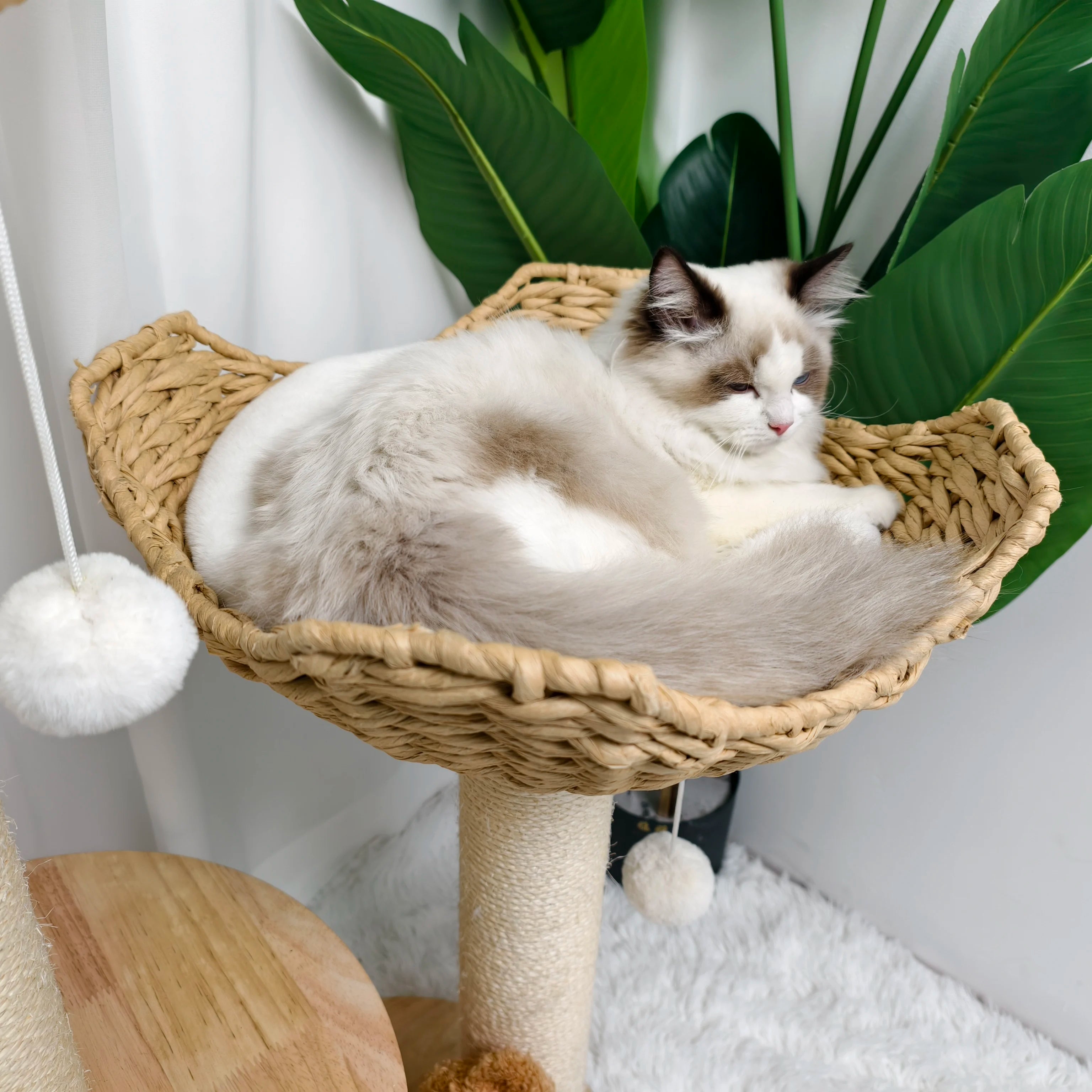 3-Tier Natural Wood Climbing & Rest Tower for Indoor Cats