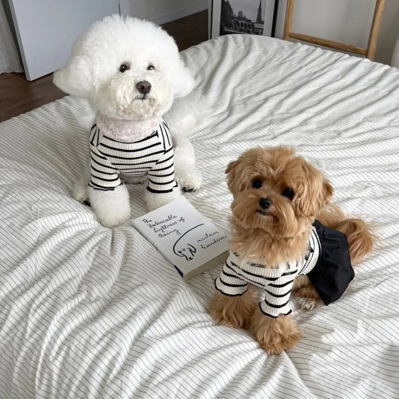Stripe Bow Princess Pet Dress (Black & White Summer Outfit for Small Dogs) 🎀🖤🤍