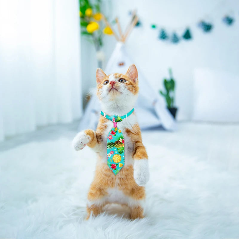 Colorful Pet Neckties Pack (10pcs)