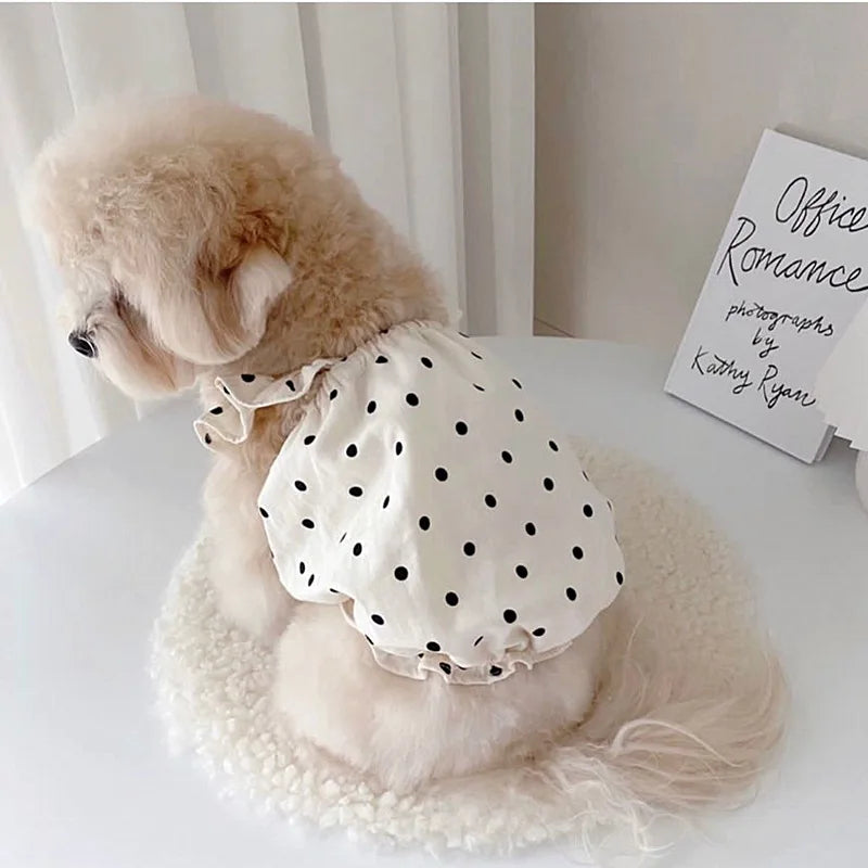 Polka Dot Summer Pet Dress with Bear Bag 🐻🖤