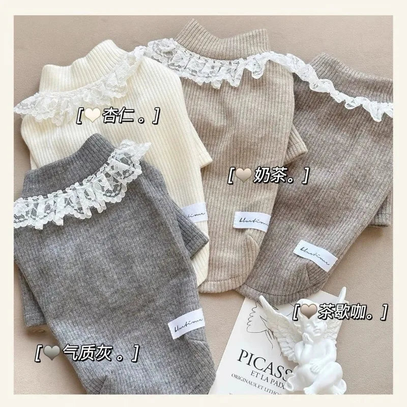 Lace Collar Knit Dog Sweater (Elegant High-Neck Cotton Winter Top) 🤍🐾