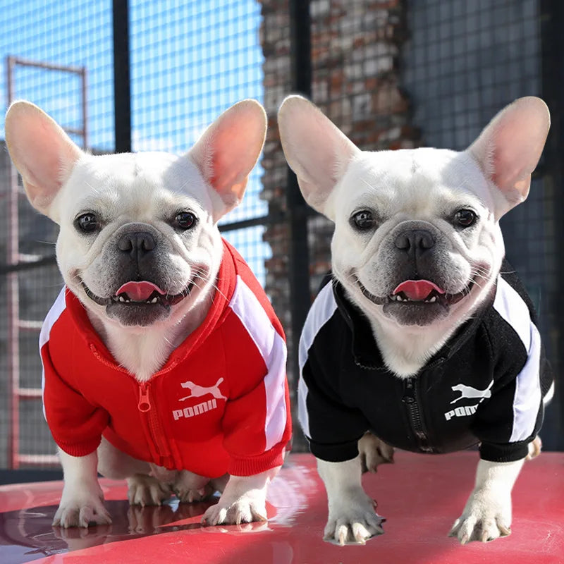 Baseball Dog Jacket – Cozy Winter Pet Clothes