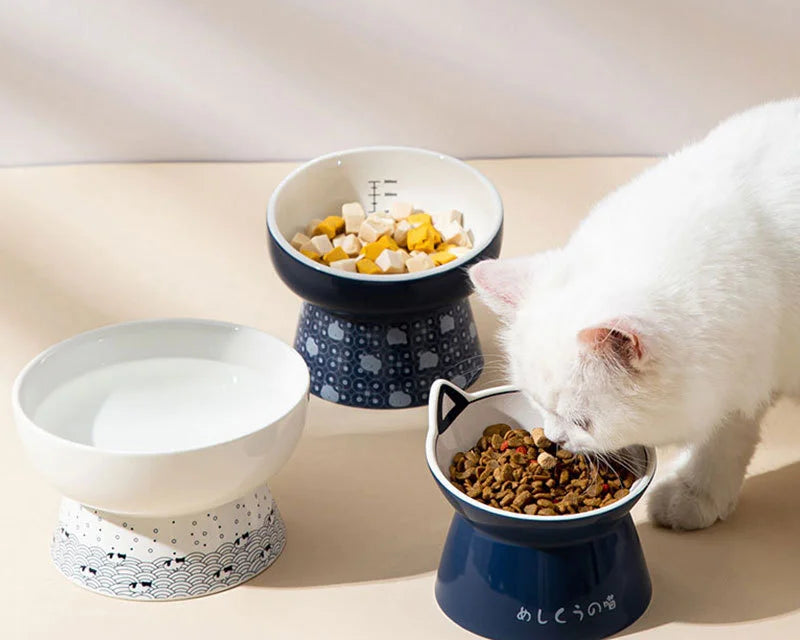 Japanese-Style Elevated Ceramic Double Cat Bowl
