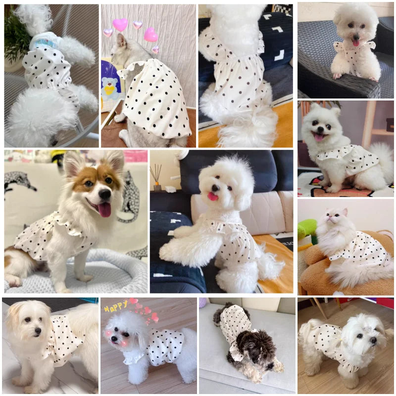 Polka Dot Summer Pet Dress with Bear Bag 🐻🖤