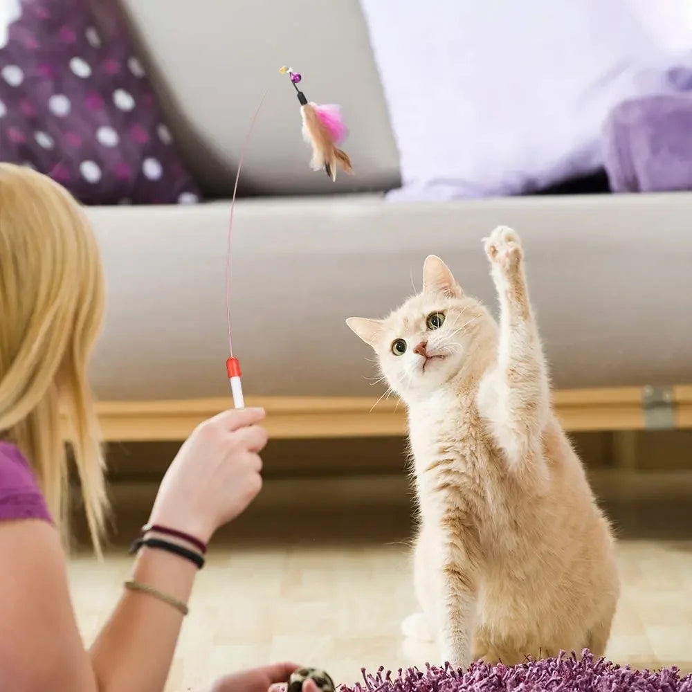 All-in-One Kitten Play Pack (Mixed Toys)